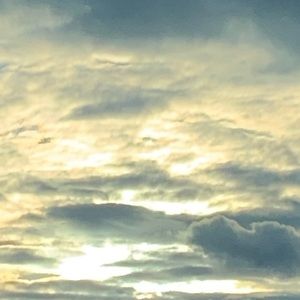 Meet your Posher, Jisoo